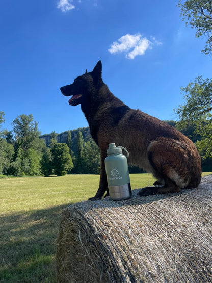 🎒 Gourde Isotherme 3-en-1 pour Chien et Maître+🎁 Pochette de transport offerte et 
🚚 Livraison offerte